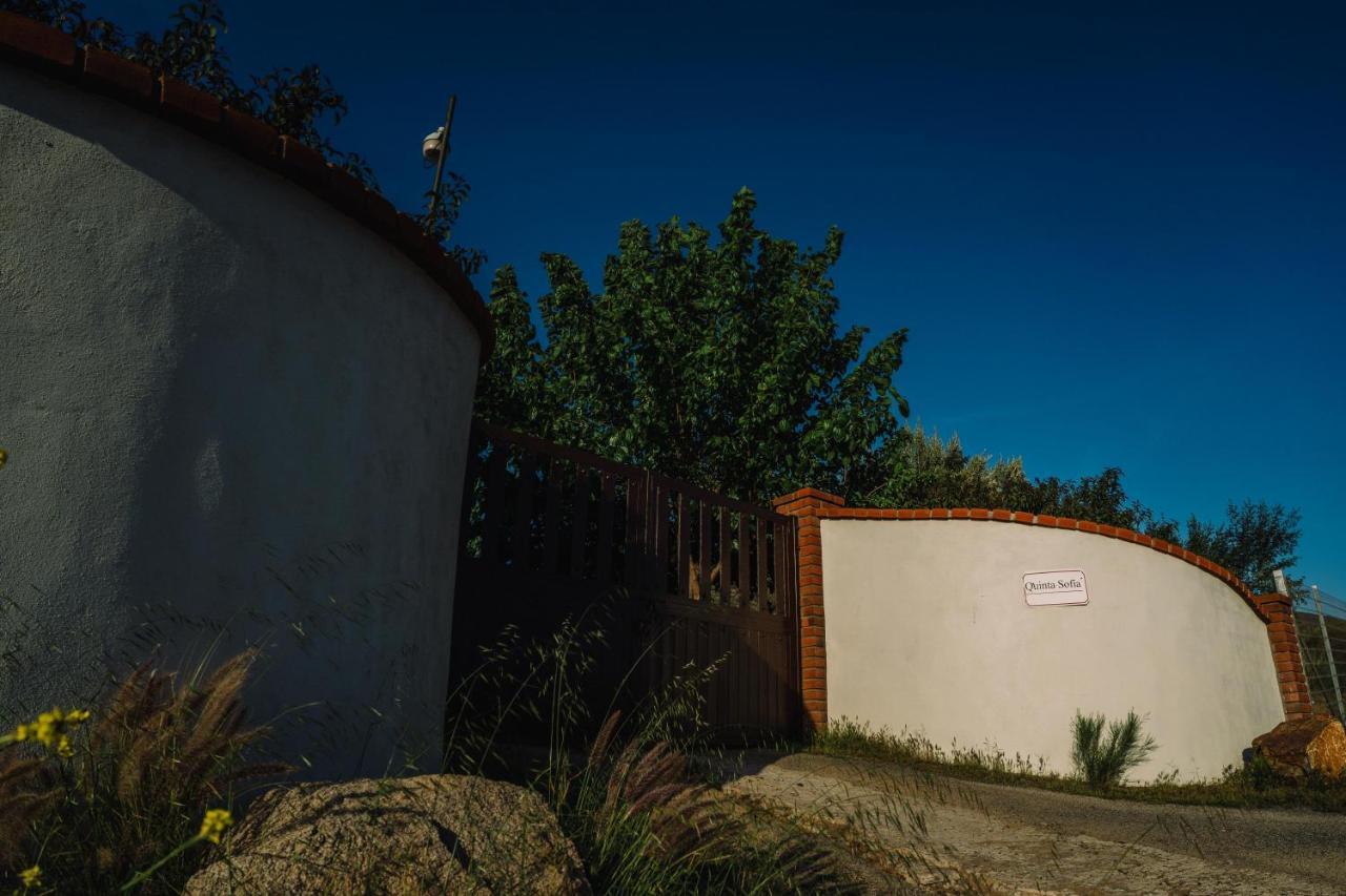 Quinta Sofia Valle De Guadalupe (Adults Only) Ngoại thất bức ảnh