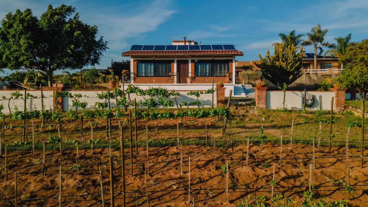 Quinta Sofia Valle De Guadalupe (Adults Only) Ngoại thất bức ảnh
