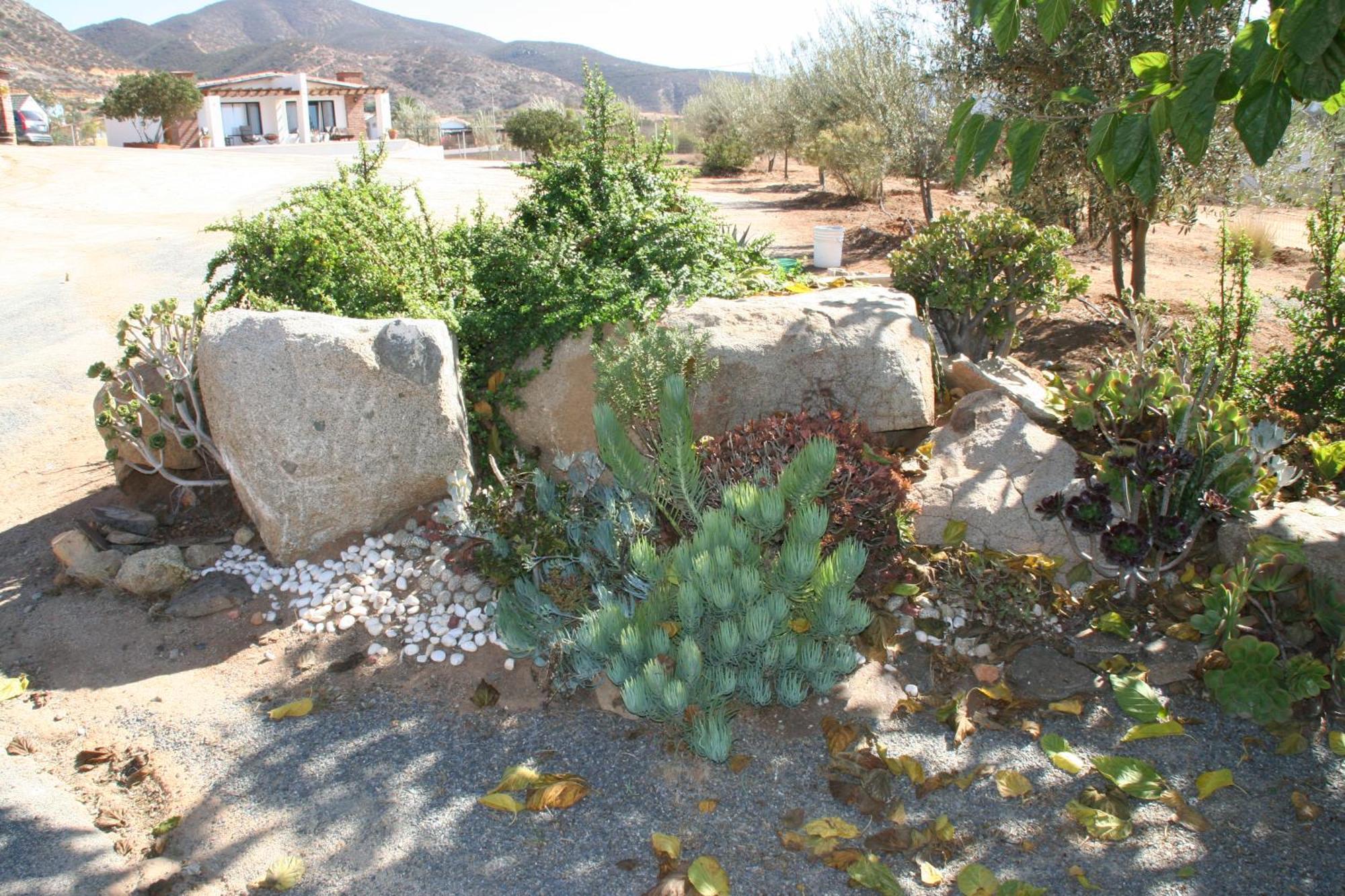 Quinta Sofia Valle De Guadalupe (Adults Only) Ngoại thất bức ảnh