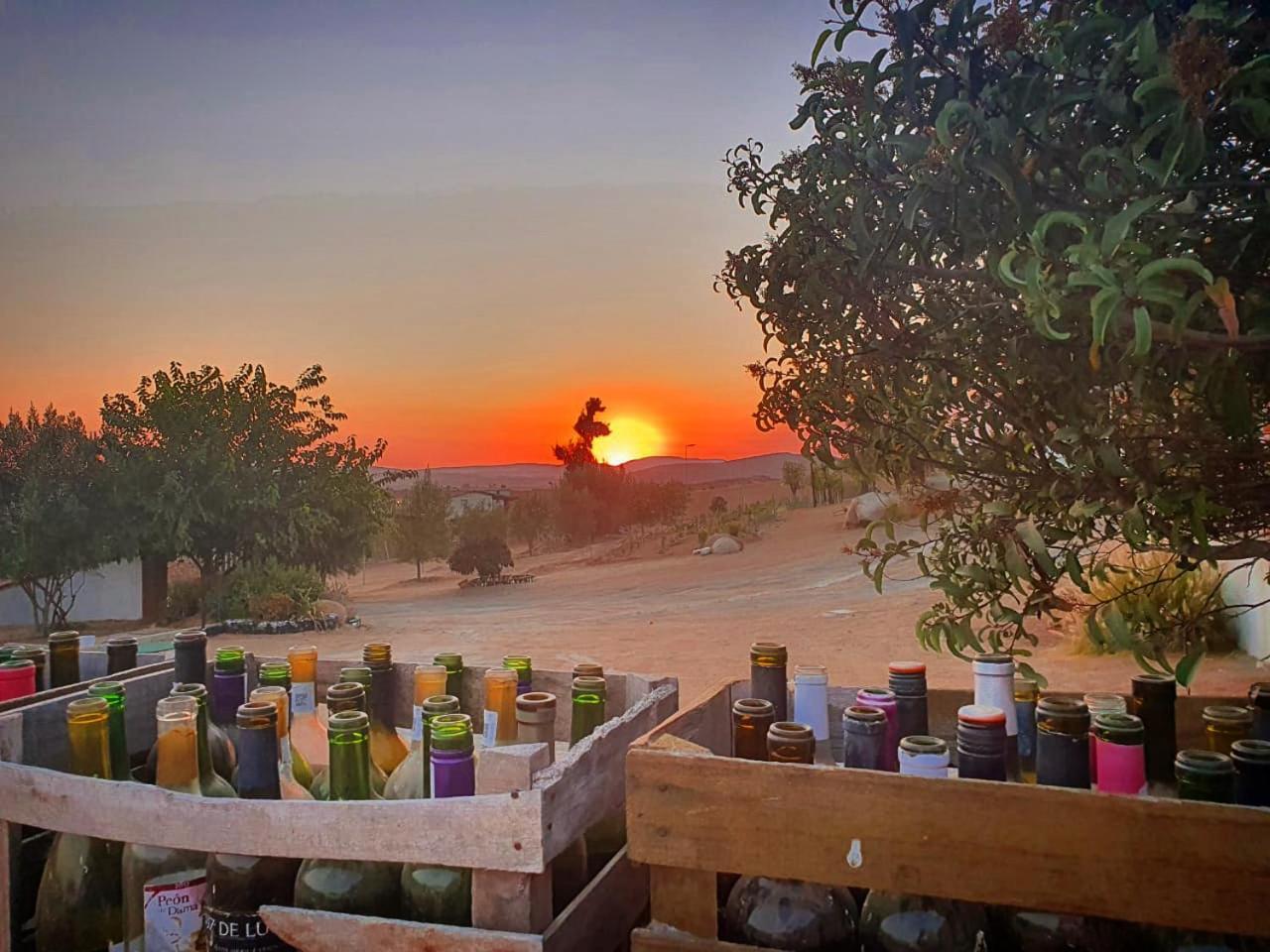 Quinta Sofia Valle De Guadalupe (Adults Only) Ngoại thất bức ảnh