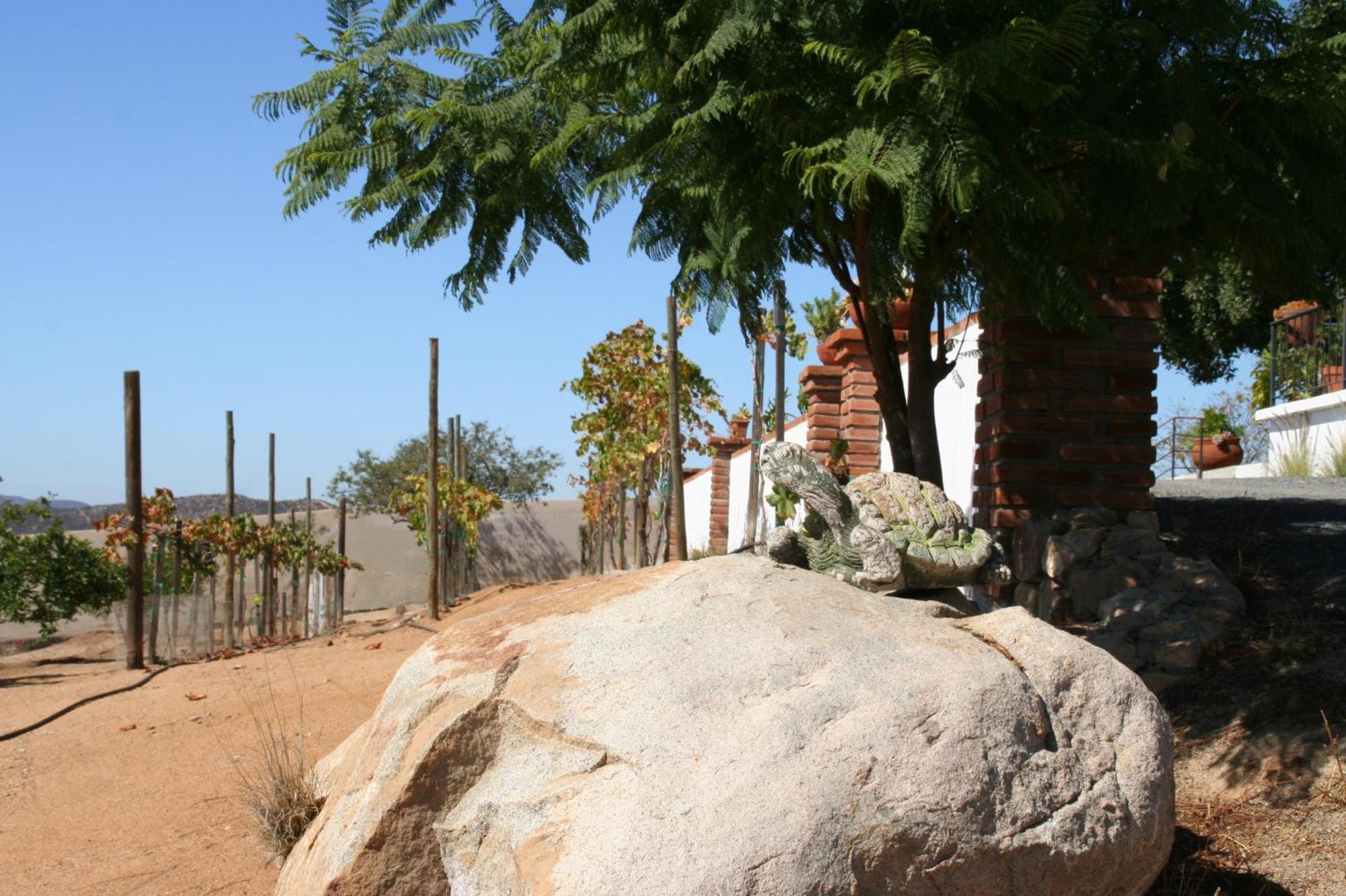 Quinta Sofia Valle De Guadalupe (Adults Only) Ngoại thất bức ảnh