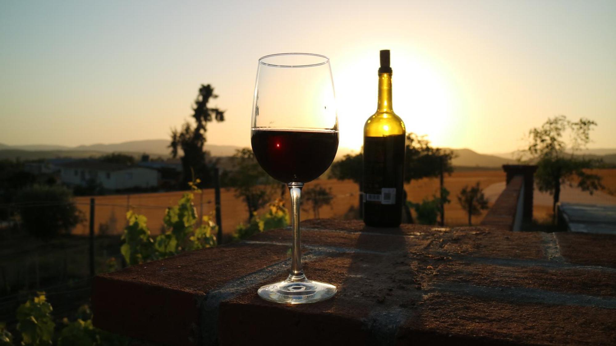 Quinta Sofia Valle De Guadalupe (Adults Only) Ngoại thất bức ảnh