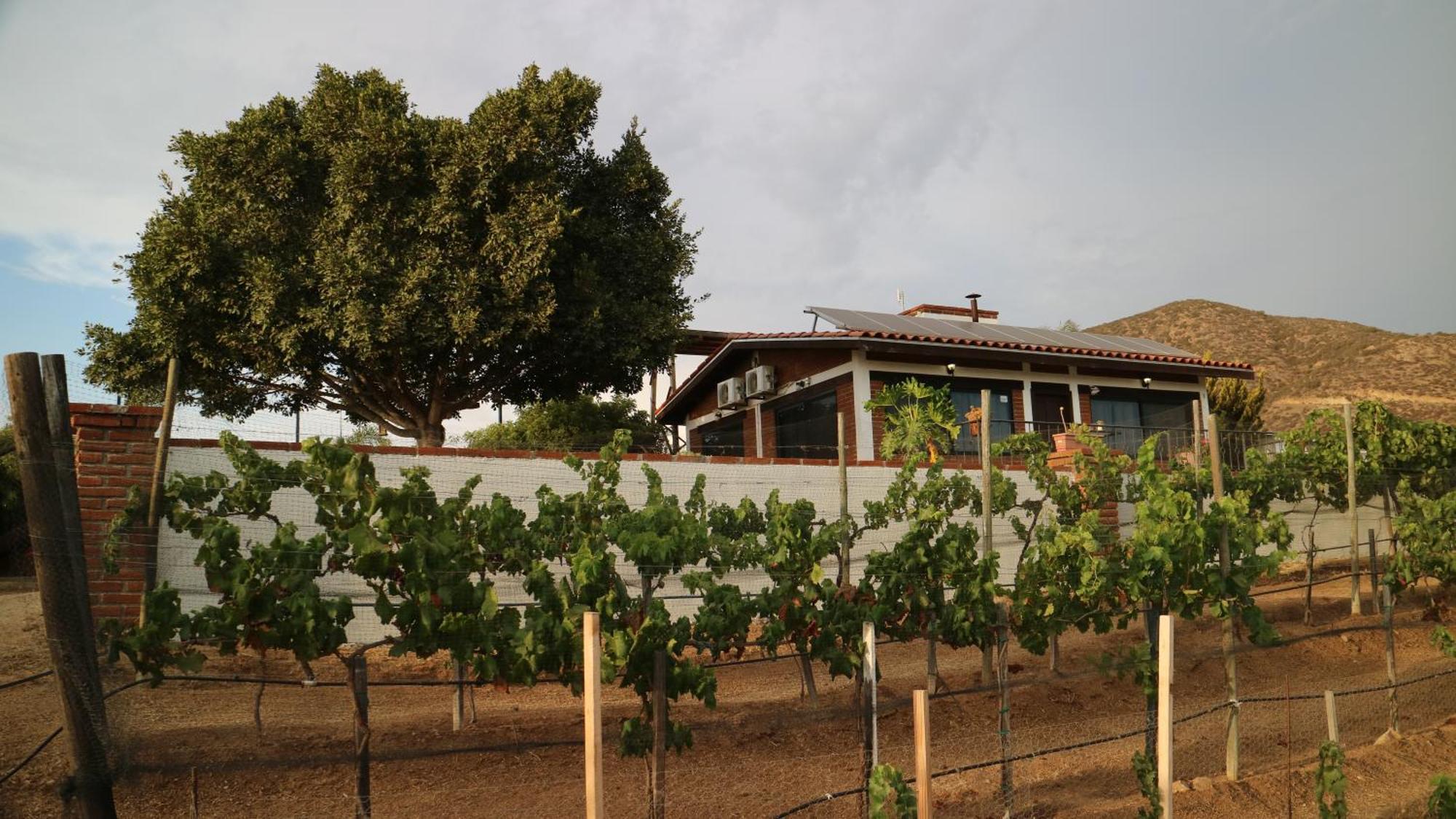 Quinta Sofia Valle De Guadalupe (Adults Only) Ngoại thất bức ảnh