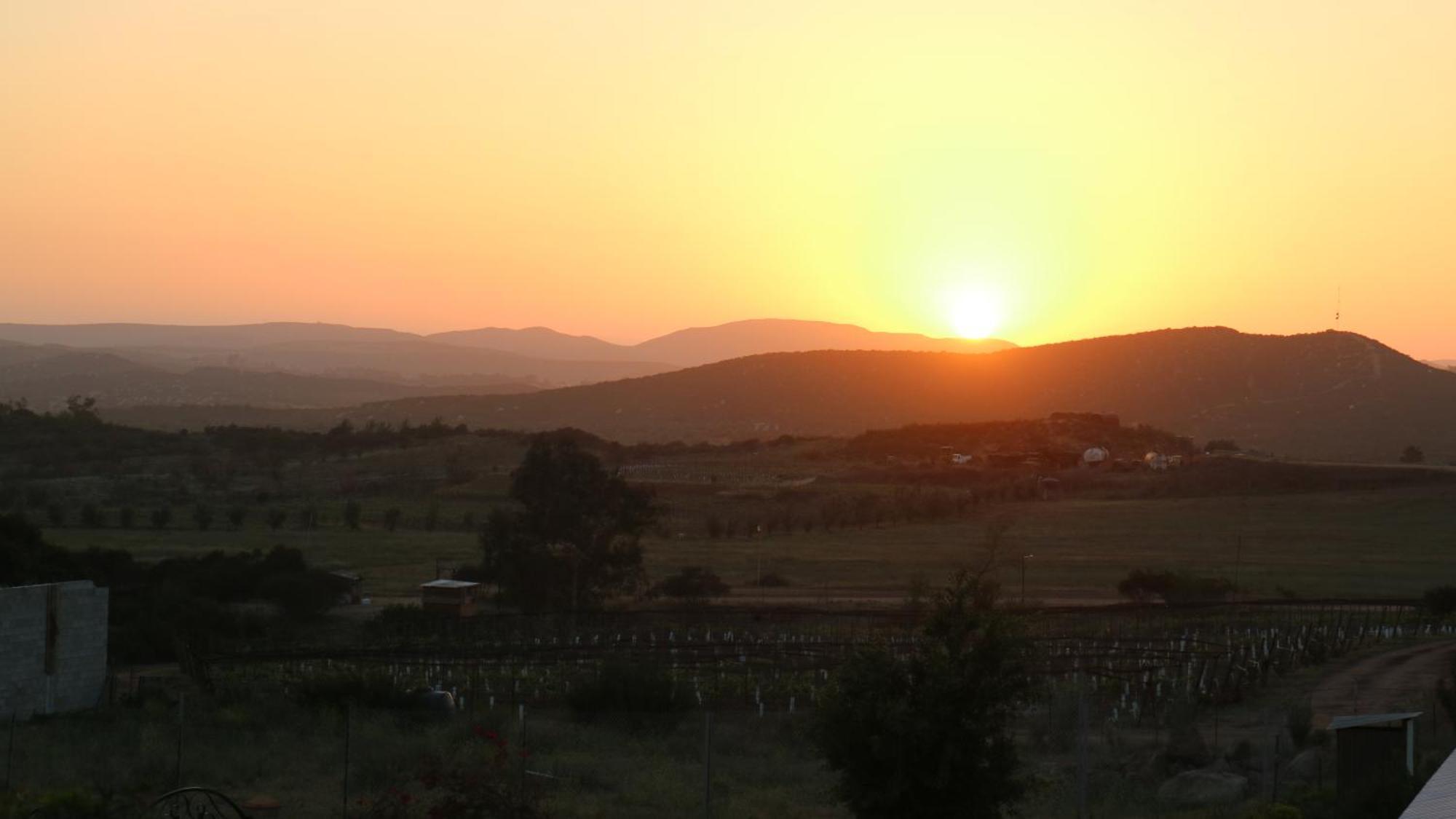 Quinta Sofia Valle De Guadalupe (Adults Only) Ngoại thất bức ảnh