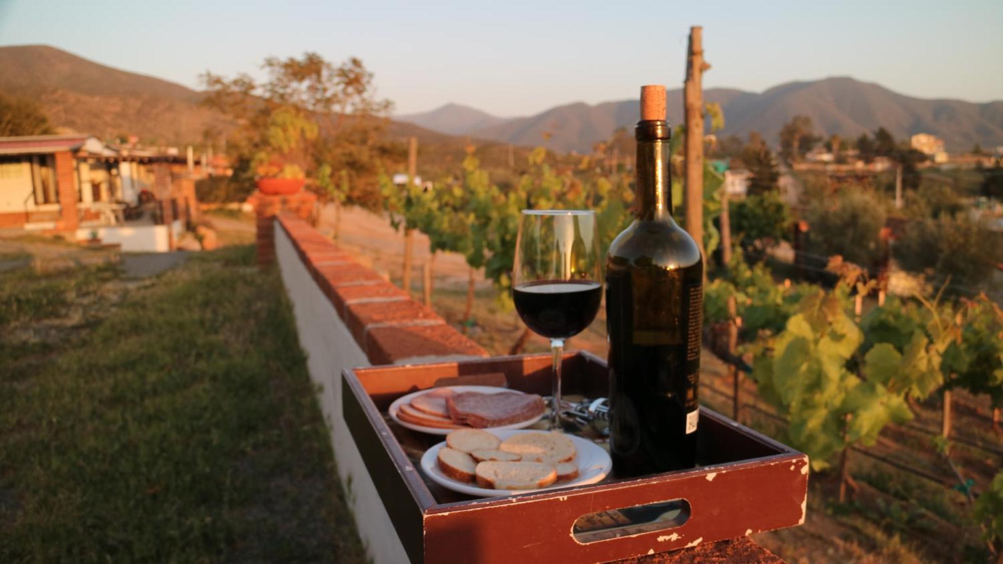Quinta Sofia Valle De Guadalupe (Adults Only) Ngoại thất bức ảnh